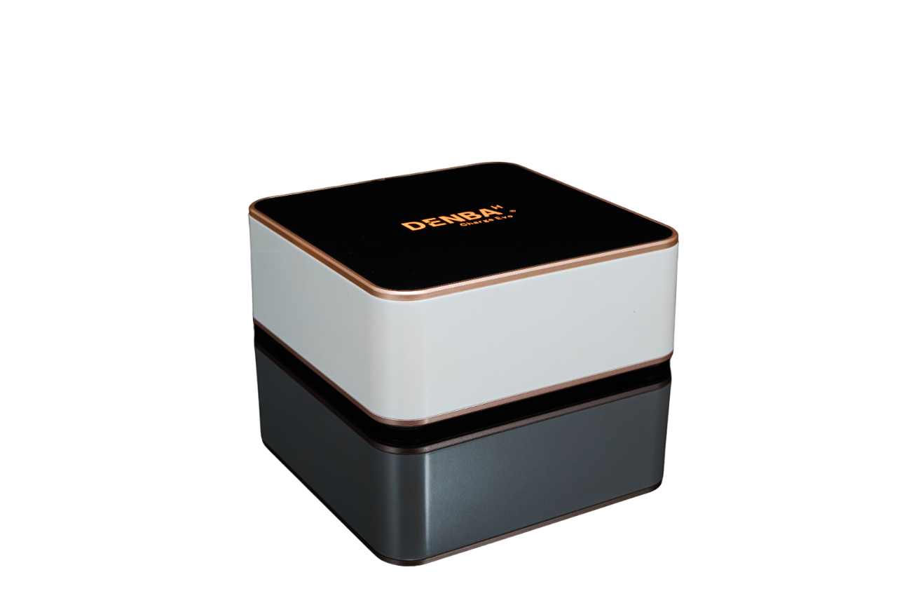 DENBAチャージEvo セット