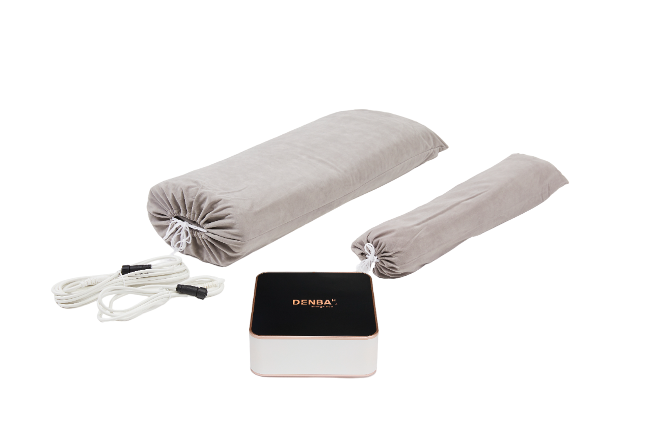 DENBAチャージEvo 本体